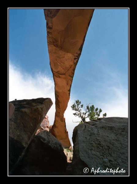 Arches NP, Landscape arch